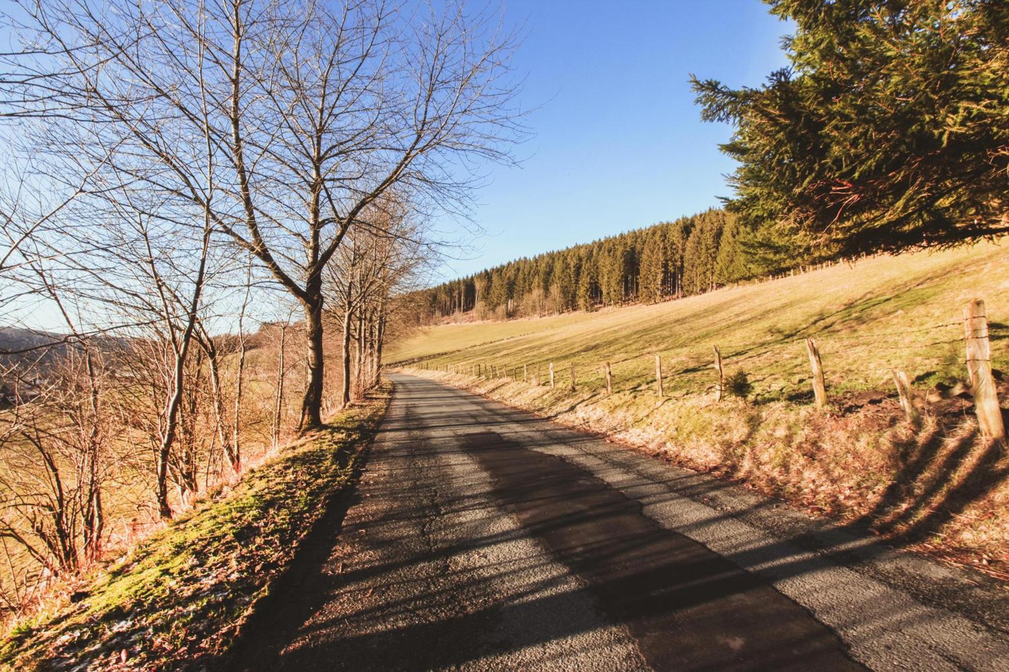 Fewo Clemensberg Niedersfeld Winterberg Exterior foto